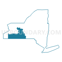 Congressional District 29 in New York